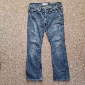 BKE Payton bootcut jeans